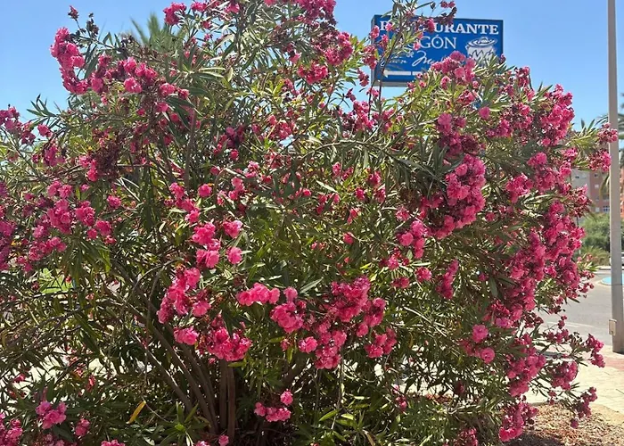 Aldeas De Taray Club 372 Admer Apartman *